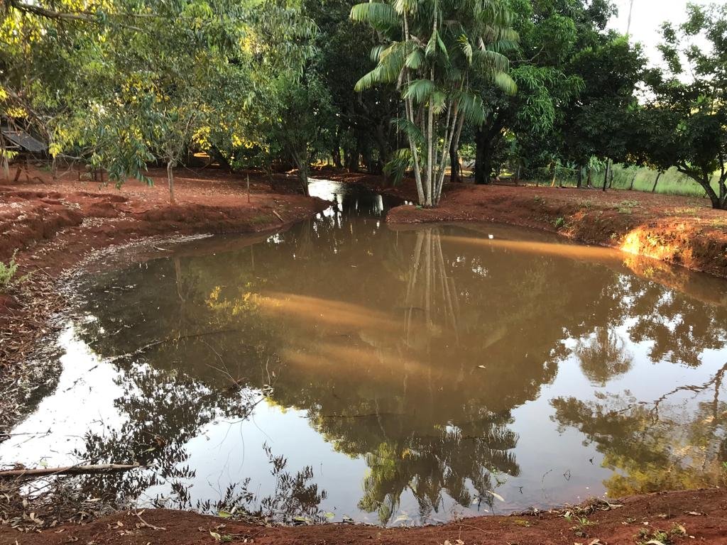 WhatsApp Image 2026-03-04 at 10.05.23