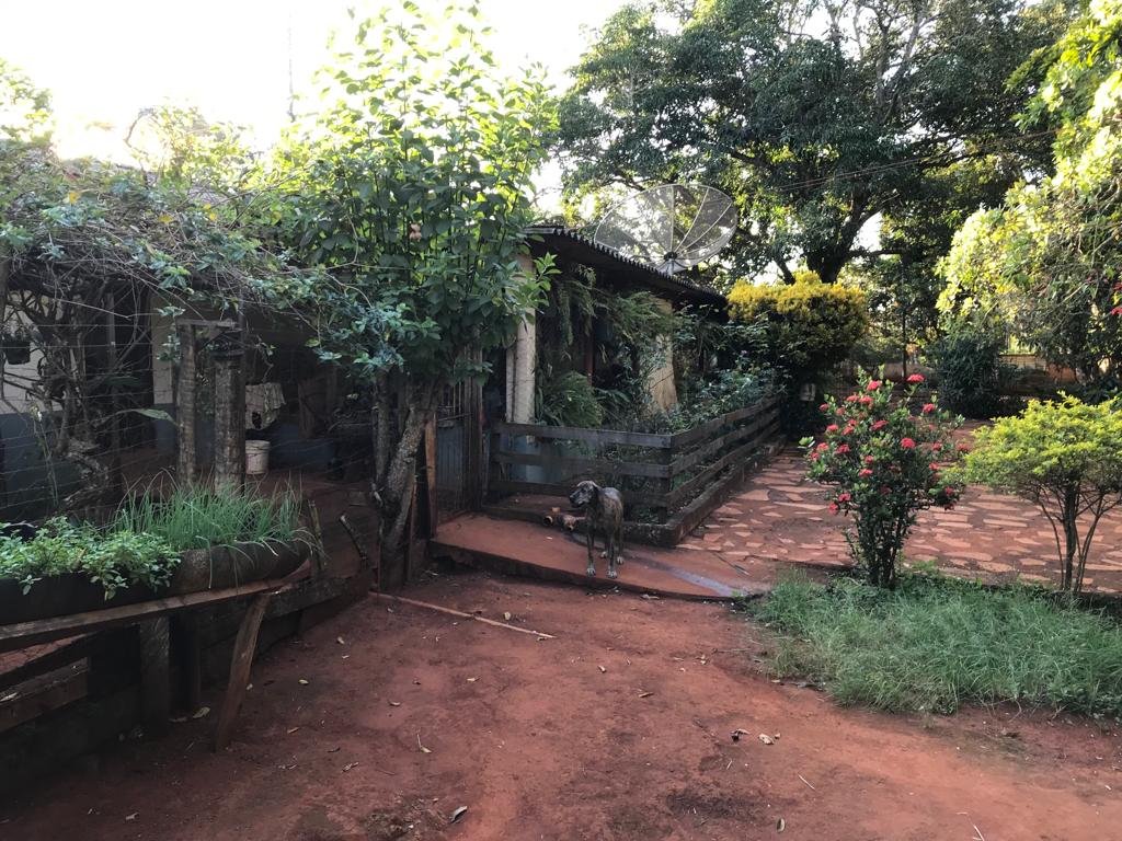 WhatsApp Image 2026-03-04 at 10.05.24 (1)