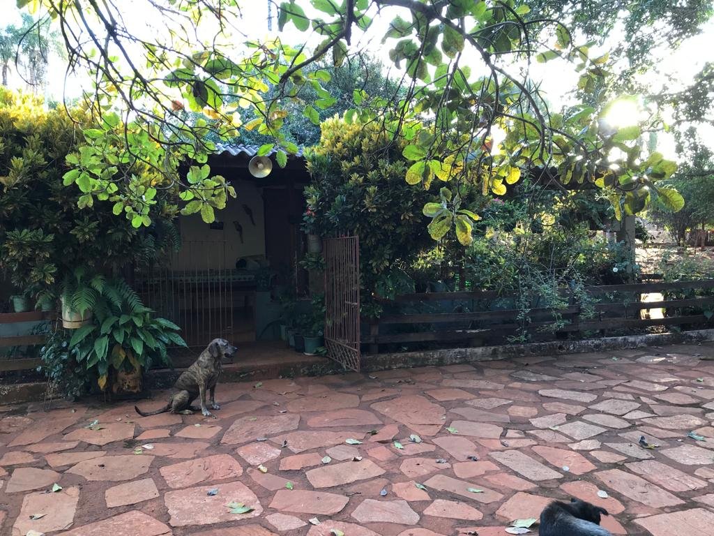 WhatsApp Image 2026-03-04 at 10.05.27 (1)