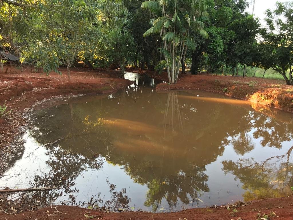 WhatsApp Image 2026-03-04 at 10.05.27 (2)