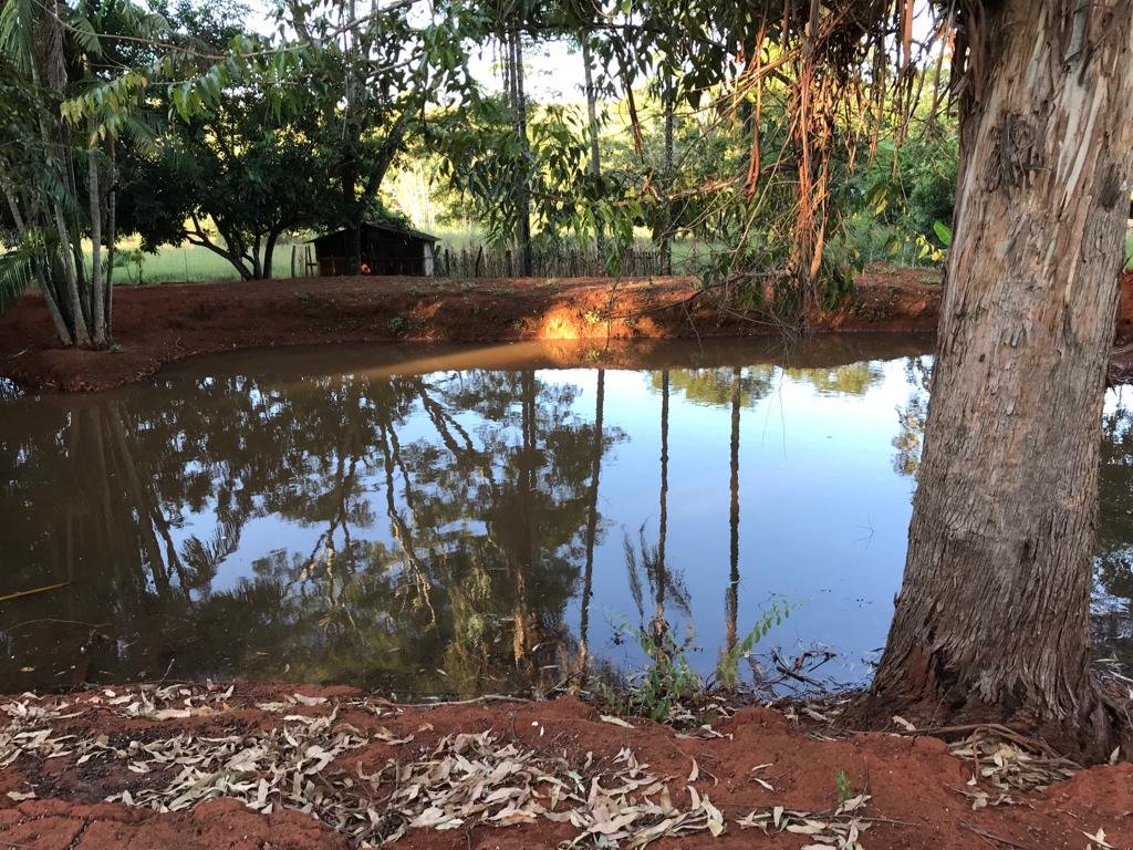 WhatsApp Image 2026-03-04 at 10.05.27